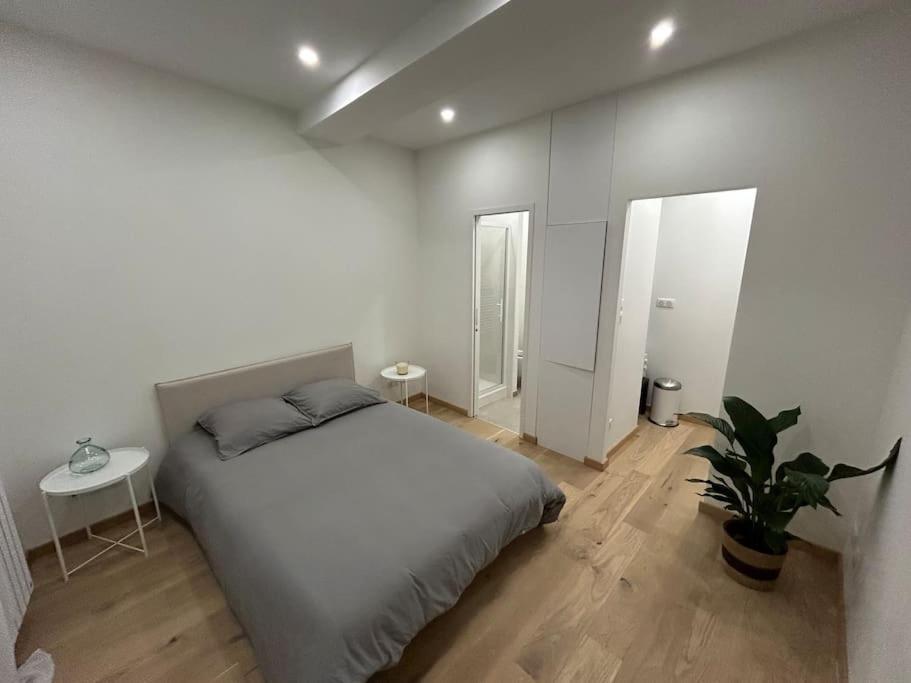 Le Magnifique, Hyper Centre Lejlighed Toulouse Eksteriør billede